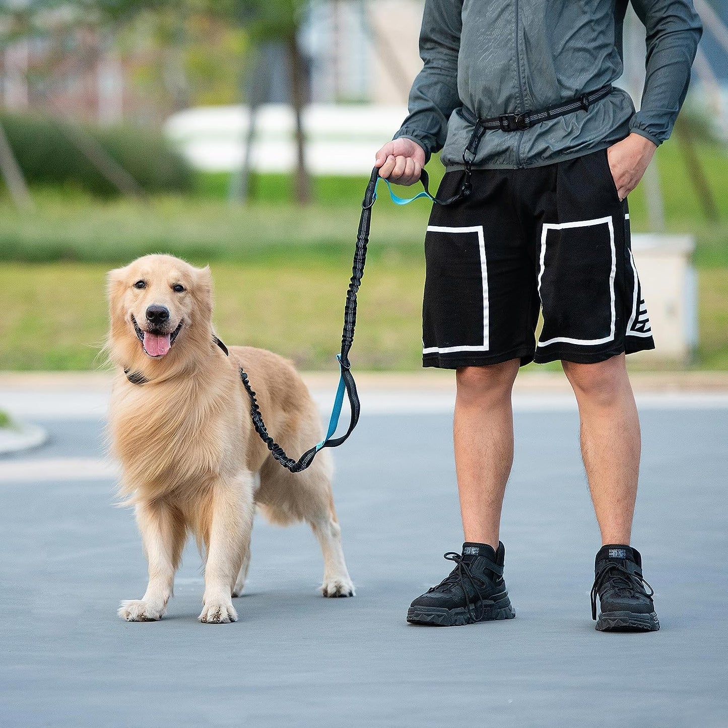 Hands Free Dog Leash with Zipper Pouch, Dual Padded Handles and Durable Bungee for Walking, Jogging and Running Your Dog, Medium (8-25 Lbs) | Large (25-150 Lbs)