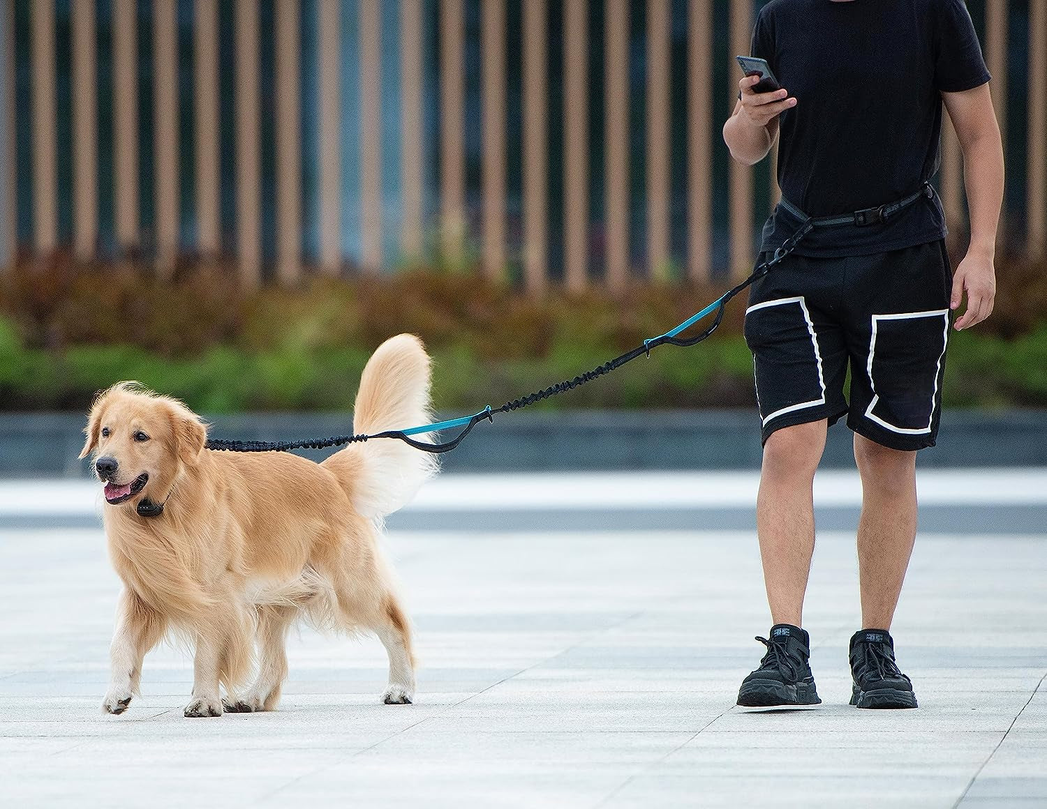 Hands Free Dog Leash with Zipper Pouch, Dual Padded Handles and Durable Bungee for Walking, Jogging and Running Your Dog, Medium (8-25 Lbs) | Large (25-150 Lbs)